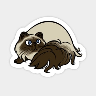 All Curled Up--Himalayan Style Sticker